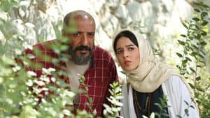 سوفی و دیوانه — foto 1