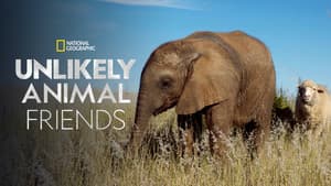 Unlikely Animal Friends — foto 2