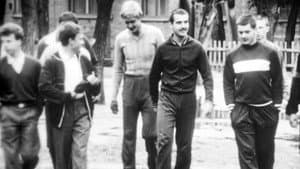 А у вас во дворе? — foto 1