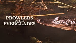 Prowlers of the Everglades — foto 3
