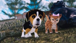 Tobia e i colori del mondo — foto 3