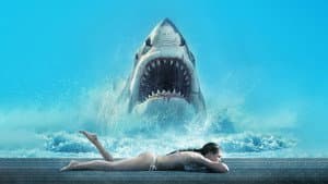 Shark Warning — foto 1