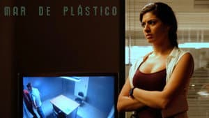 Mar de plástico — foto 10
