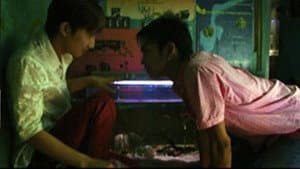 Boy — foto 1