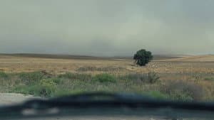 و کیارستمی ادامه دارد — foto 2