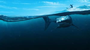 When Sharks Attack 360 — foto 10