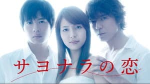 サヨナラの恋 — foto 1