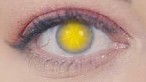 Close-Up: an oddyssey — foto 7