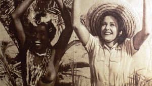 Quax in Afrika — foto 1