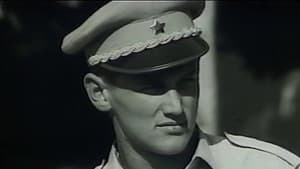Imate li nešto za carinu? — foto 1