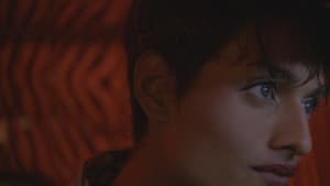 Automagic — foto 2