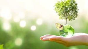 Earth Emergency — foto 2