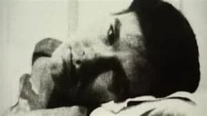 Vies et morts d'Andy Warhol — foto 1