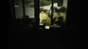 O Pau da Meia-Noite — foto 1