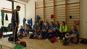 Vércsék — foto 3