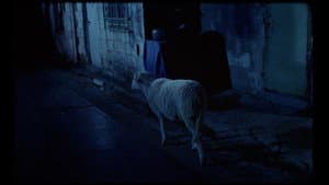 Aunque es de noche — foto 4