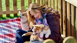 A Royal Corgi Christmas — foto 3