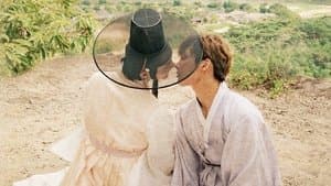 물들여 — foto 2