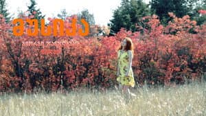 მუსიკა — foto 1