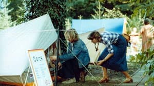 Und nächstes Jahr am Balaton — foto 1