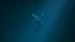 Luz de Mar — foto 1