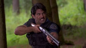 Episodio 173