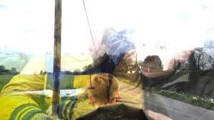 The Fields — foto 1