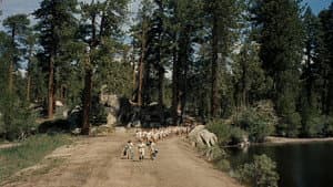 The Parent Trap — foto 10