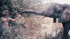 A Life Among Elephants — foto 3