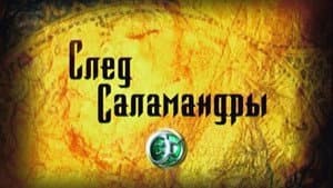 След саламандры — foto 1