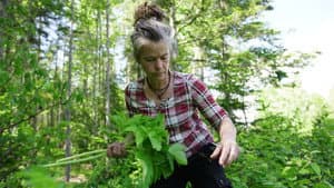 La famille de la forêt — foto 1