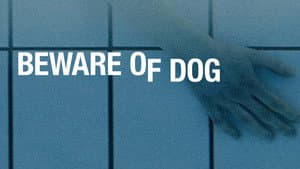 Beware of Dog — foto 4