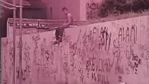 The Vandals — foto 1