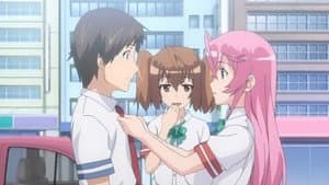 オトメドリ — foto 2