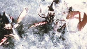 Babobilicons — foto 1