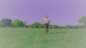 The Wizard and the Detective in the Search — foto 1