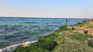 قصائد حب الجزء الثاني: الإسكندرية — foto 3