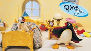 Pingu — foto 8