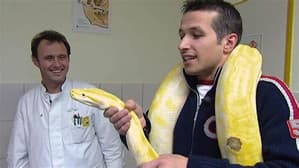 Episodio 1