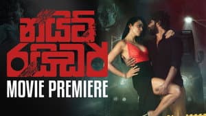 නයිට් රයිඩර් — foto 1