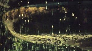 Rasendes Grün mit Pferden — foto 1