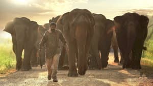காடன் — foto 7