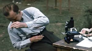 Les junkies d'Adolf Hitler — foto 3