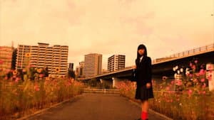 親知らず — foto 1