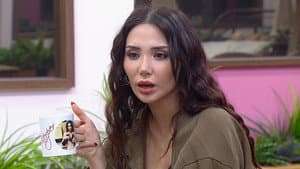 Episodio 88