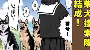 Episodio 41