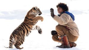 El niño y el tigre — foto 2