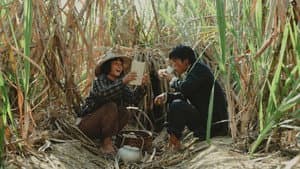 大濛 — foto 11