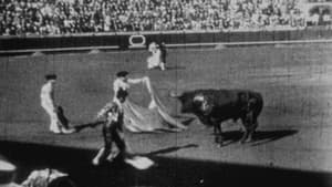 Espagne : courses de taureaux — foto 1