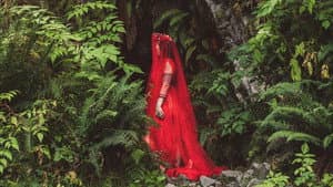 Persephone Returns — foto 1
